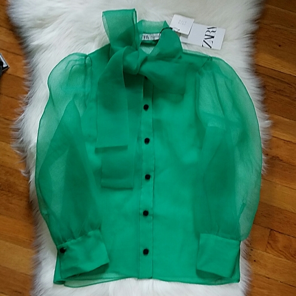 NWT ZARA Organza Blouse Top Semi-Sheer Green - Picture 15 of 16
